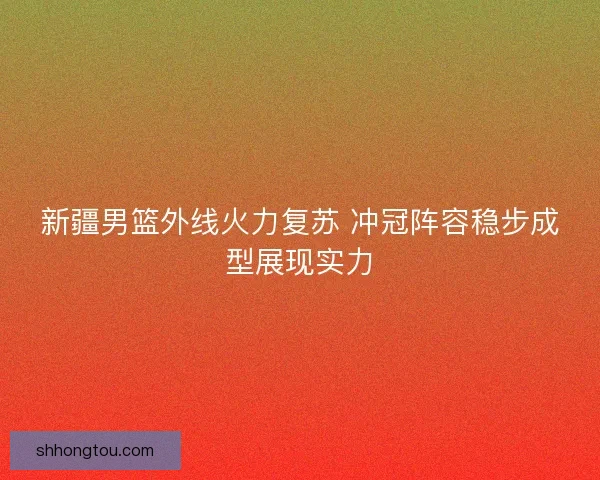 新疆男篮外线火力复苏 冲冠阵容稳步成型展现实力