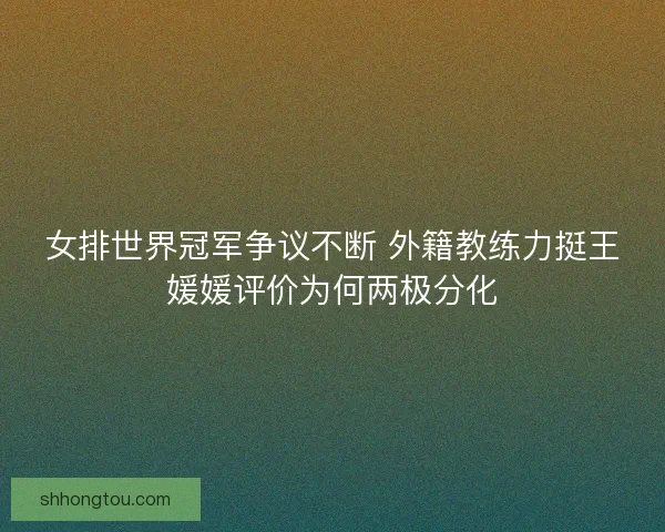 女排世界冠军争议不断 外籍教练力挺王媛媛评价为何两极分化