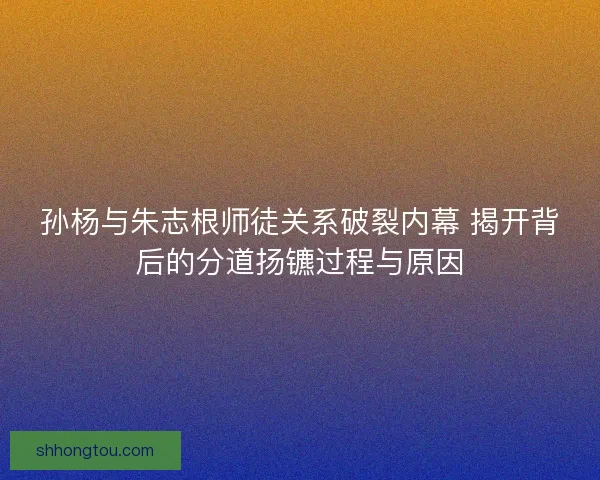 孙杨与朱志根师徒关系破裂内幕 揭开背后的分道扬镳过程与原因